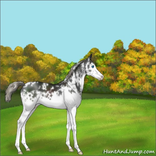 Horse Color:White Spotted Liver Chestnut Mushroom Splash 
