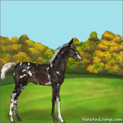 Horse Color:White Spotted Liver Chestnut Ice Mushroom 
