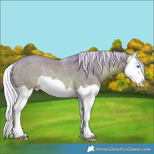 Horse Color:Watercolor Silver Bay Splash Rabicano 