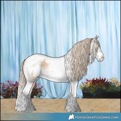 Horse Color:Perlino Tobiano Frame Appaloosa 