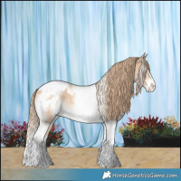 Horse Color:Perlino Tobiano Frame Appaloosa 