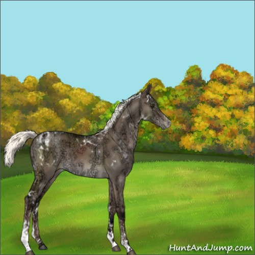 Horse Color:White Spotted Liver Red Dun Ice Mushroom Tobiano 