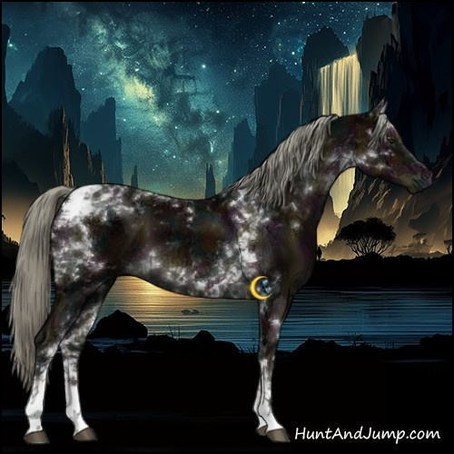 Horse Color:Midnight Liver Chestnut Ice Mushroom Tobiano