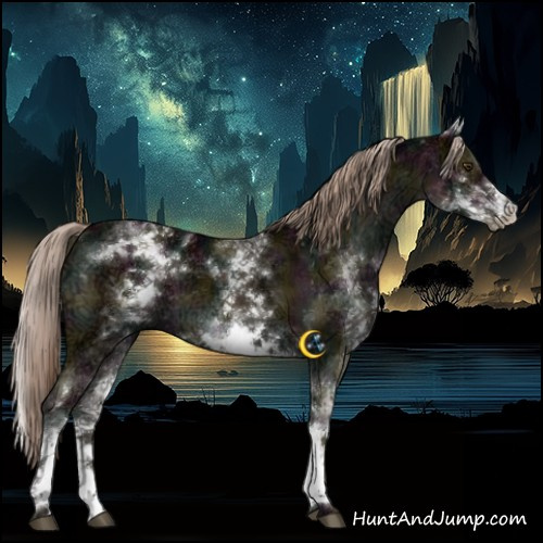 Horse Color:White Spotted Midnight Chocolate Palomino Ice Dun Brindle