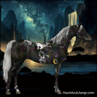 Horse Color:White Spotted Midnight Liver Red Dun Ice Mushroom Tobiano Brindle 