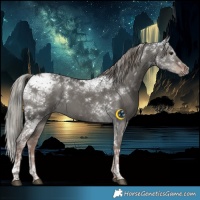 Horse Color:Liver Red Dun Mushroom Tobiano 