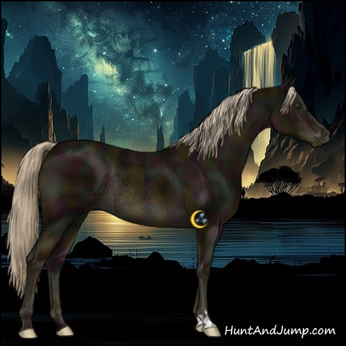 Horse Color:Midnight Chocolate Palomino Appaloosa Rabicano