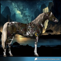 Horse Color:White Spotted Midnight Chocolate Palomino Ice Dun Tobiano Brindle