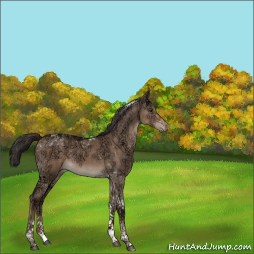 Horse Color:Liver Red Dun Ice Tobiano Brindle 