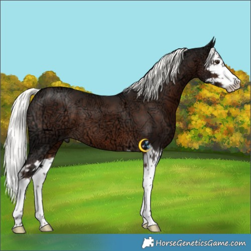 Horse Color:Liver Chestnut Ice Mushroom Splash 