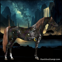 Horse Color:White Spotted Midnight Liver Red Dun Ice Tobiano Brindle 