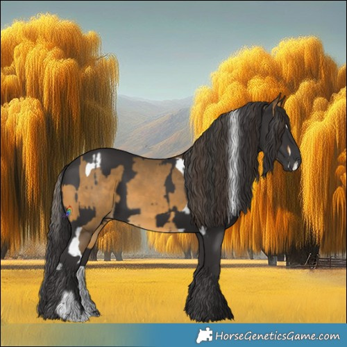 Horse Color:Buckskin Splash Tobiano and Smoky Black