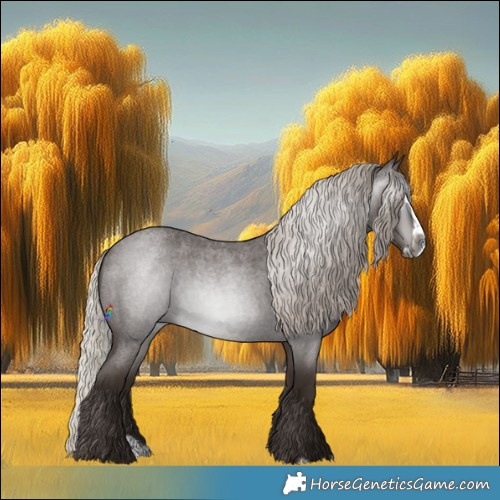 Horse Color:Gray Silver Blue Roan Splash 