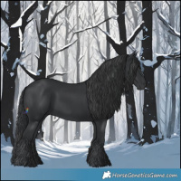 Horse Color:Black Rabicano 