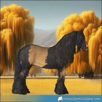 Horse Color:Buckskin and Smoky Black