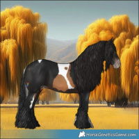 Horse Color:Gray Silver Sable Champagne Tobiano  and Gray Brown 