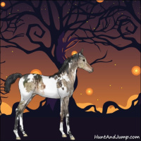 Horse Color:White Spotted Brown Dun Brindle