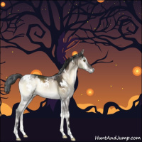 Horse Color:White Spotted Brown Onyx