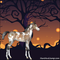 Horse Color:White Spotted Brown Dun Sabino Brindle 