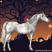 Horse Color:Platinum Silver Grullo Ice Pearl Sabino Tobiano Brindle 