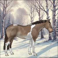 Horse Color:Liver Red Dun Tobiano Rabicano