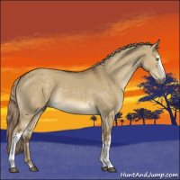 Horse Color:White Spotted Chocolate Palomino Dun Rabicano 