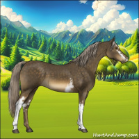 Horse Color:White Spotted Chocolate Palomino