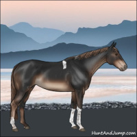 Horse Color:Liver Chestnut Tobiano 