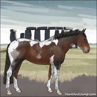 Horse Color:Liver Chestnut Tobiano 