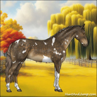 Horse Color:White Spotted Chocolate Palomino Tobiano