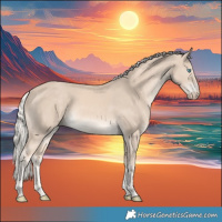 Horse Color:White Spotted Cremello 