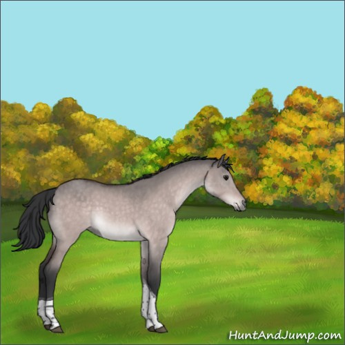 Horse Color:Platinum Bay Dun Tobiano 