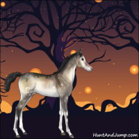 Horse Color:White Spotted Brown Onyx 