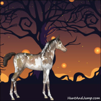 Horse Color:White Spotted Liver Red Dun Sabino Rabicano Brindle