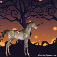 Horse Color:Gray White Spotted Liver Red Dun Sabino Brindle 