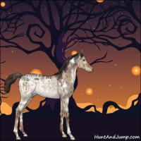 Horse Color:Gray White Spotted Liver Red Dun Ice Brindle 