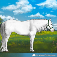 Horse Color:Liver Red Dun Sabino Brindle 