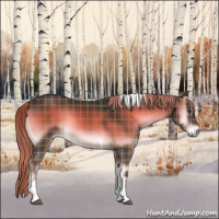 Horse Color:Plaid  Liver Red Onyx Tobiano 