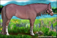 Horse Color:Liver Red Dun Sabino Rabicano  and White Spotted Chocolate Palomino Dun Rabicano