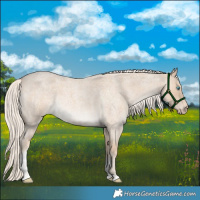 Horse Color:Cremello Roan Tobiano 