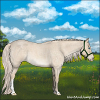 Horse Color:Cremello Roan Tobiano 