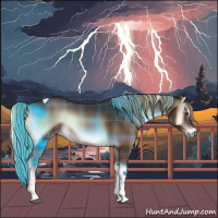 Horse Color:Plaid  Liver Red Onyx Tobiano 