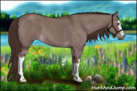 Horse Color:White Spotted Liver Red Dun Roan Rabicano 