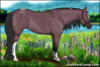 Horse Color:Liver Red Dun Sabino Tobiano Rabicano 