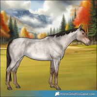 Horse Color:Liver Red Dun Roan Rabicano 