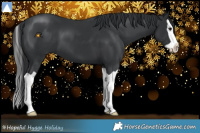 Horse Color:Black Splash 