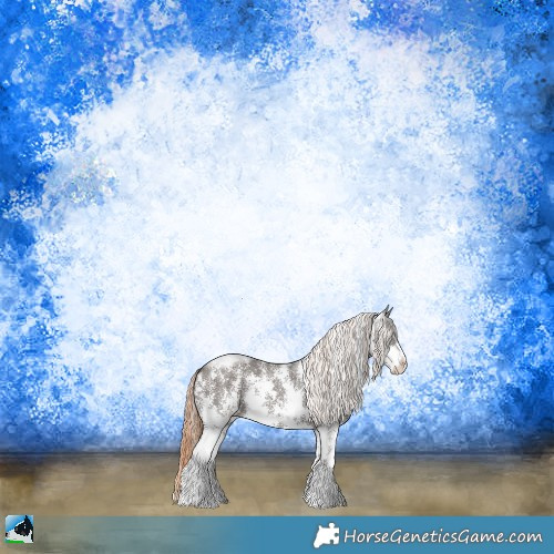 Horse Color:Liver Chestnut Sabino Rabicano 