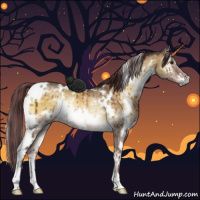 Horse Color:White Spotted Chocolate Buckskin Onyx Mushroom Rabicano Brindle