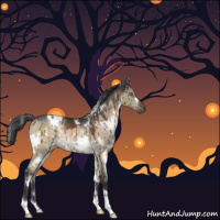 Horse Color:White Spotted Brown Dun Rabicano Brindle 