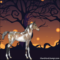 Horse Color:White Spotted Brown Dun Rabicano Brindle 